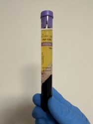 Image_20241229084828