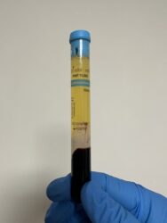 Image_20241229084853