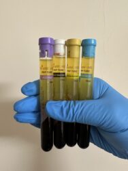 Image_20241229085010