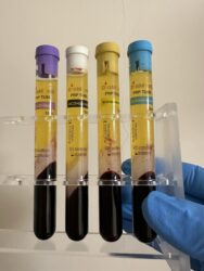 Image_20241229085030