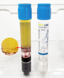 Image_20250107072500