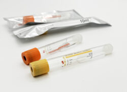 Image_20250114125125