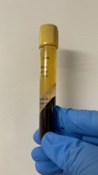 WeChat Image_20210625050053