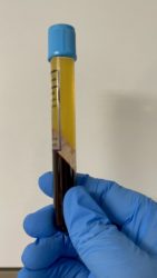 WeChat Image_20210625050059